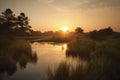 wetlands and marshes, with view of sunset or sunrise, providing a peaceful and serene setting