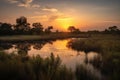 wetlands and marshes, with view of sunset or sunrise, providing a peaceful and serene setting