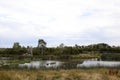 Wetlands Melbourne, Victoria, Australia showing trees, gardens, lake