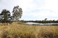 Wetlands Melbourne, Victoria, Australia showing trees, gardens, lake