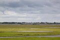 Wetlands of National Park Lauwersmeer, Holland Royalty Free Stock Photo