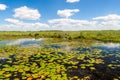 Wetlands in Nature Reserve Esteros del Ibera