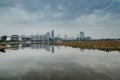 wetlands park under cloudy sky