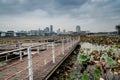 wetlands park under cloudy sky