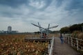 wetlands park under cloudy sky in Wuhan city hubei province china