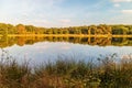 Wetlands in the province of Drenthe, The Netherlands