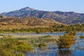 Wetlands, San Diego County, California