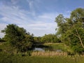 Wetlands