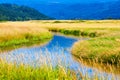 Wetlands of Steigerwald Lake National Wildlife Refuge