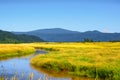 Wetlands of Steigerwald Lake National Wildlife Refuge