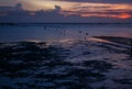 Wetlands sunset