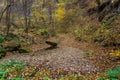 Wetlands in the wilderness of the autumn forest. Background with copy space for text