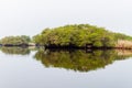 Wetlands of the wildlife reserve Biotopo Monterrico-Hawaii, Guatema Royalty Free Stock Photo