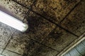 Wetting and mold growth of ceiling decorative panels Royalty Free Stock Photo