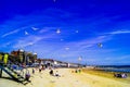 Weymouth beach busy with people and birds
