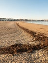 weymouth dorset sea coast sky blue beach sunset nature landscape