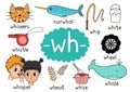 Wh digraph spelling rule educational poster for kids with words. Learning -wh- phonics