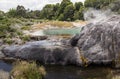 Whakarewarewa thermal geyser area