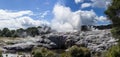 Whakarewarewa thermal geyser area