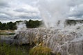 the Whakarewarewa Thermal Valley - Te Puia