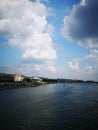 Whale on the bank of Danube