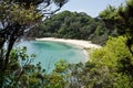 Whale Beach New Zealand