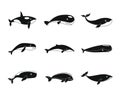 Whale blue tale fish icons set, simple style