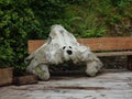 Whale bone British Columbia, Canada