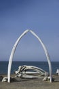 Whale bones Royalty Free Stock Photo