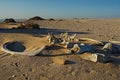 Whale bones, Meob Bay whaling station, Namibia, Africa Royalty Free Stock Photo