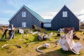 Whale bones in DjÃÂºpalÃÂ³nssandur museum, Iceland Royalty Free Stock Photo