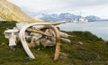 Whale Bones - South Georgian Whaling Station