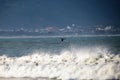 Whale on the Brazilian coast