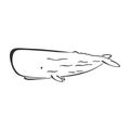 Whale, cachalot character abstract ink hand drawn vector logo cartoon. Retro illustration. Marine wild mammal. Ocean and
