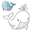 Whale Coloring Page Colored Illustration. cartoon whale character