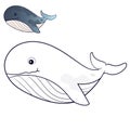Whale Coloring Page Colored Illustration. cartoon whale character