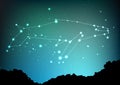 Whale constellation vector art. Sea whale in constellations and star on night sky and forest landscape. Starry whale in