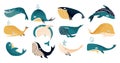 Whale. Cute sea animal. Blue ocean characters for stickers and children illustration. Humpbacks and cachalot. Swimming