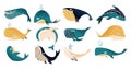 Whale. Cute sea animal. Blue ocean characters for stickers and children illustration. Humpbacks and cachalot. Swimming aquatic