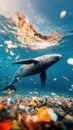 Lone whale surfaces in ocean filled with debris under natural bright light Royalty Free Stock Photo