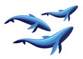 Whale family Royalty Free Stock Photo