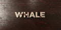 Whale - grungy wooden headline on Maple - 3D rendered royalty free stock image