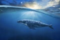 Whale in half air , half water . Royalty Free Stock Photo