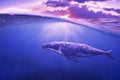 Whale in half air Royalty Free Stock Photo