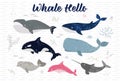 Whale hello sign poster. Sea lyfe of whale, dolphin and shark. Colorful wall art design. Room, nursery decor illustration. Textile