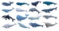 Whale icon set, cartoon style