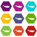 Whale icon set color hexahedron Royalty Free Stock Photo