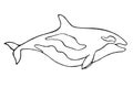 Whale illustration in linear art style. Minimalist outline logotype