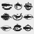 Whale label and icons set. Vector Royalty Free Stock Photo