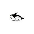 whale logo abstract vector illustration design Royalty Free Stock Photo
